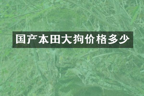 国产本田大狗价格多少
