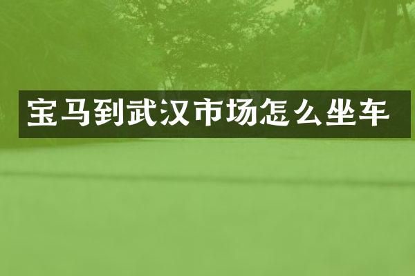 宝马到武汉市场怎么坐车