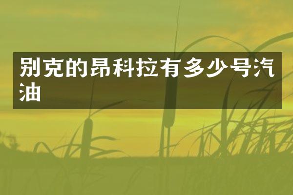 别克的昂科拉有多少号汽油