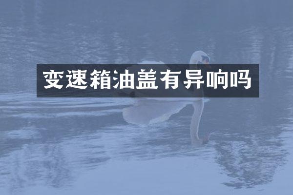 变速箱油盖有异响吗