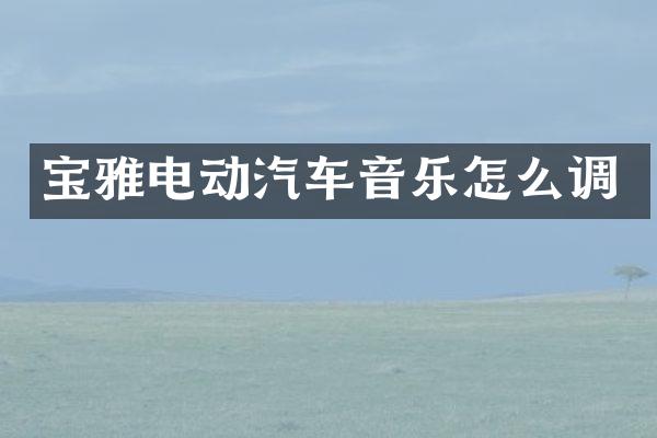 宝雅电动汽车音乐怎么调