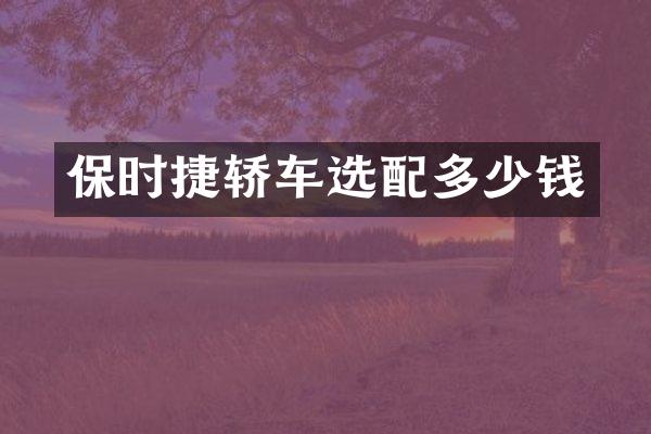 保时捷轿车选配多少钱