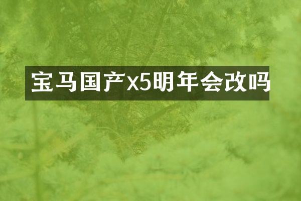 宝马国产x5明年会改吗
