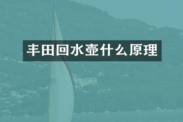 丰田回水壶什么原理