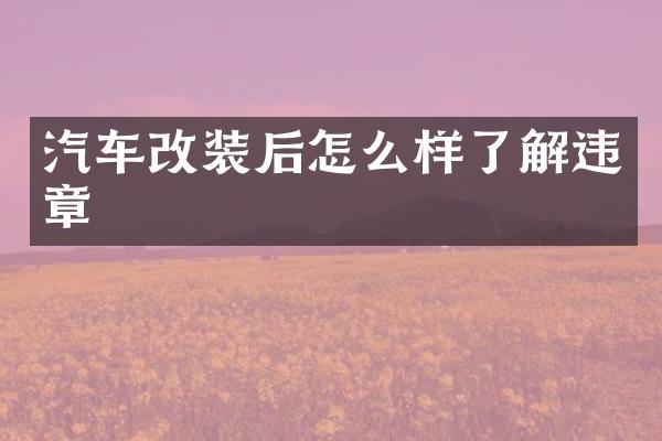 汽车改装后怎么样了解违章