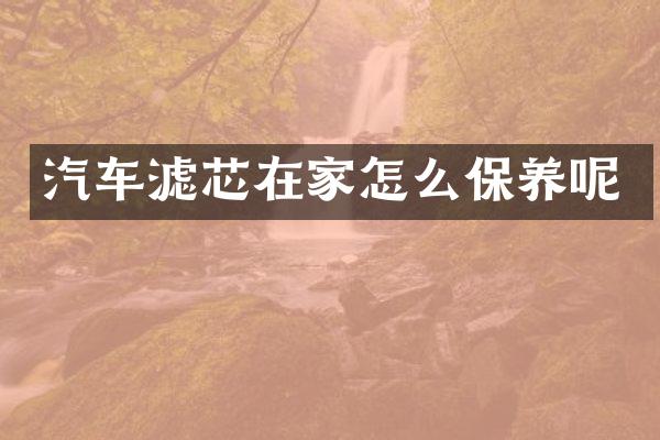 汽车滤芯在家怎么保养呢