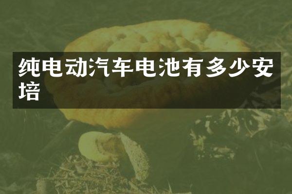 纯电动汽车电池有多少安培
