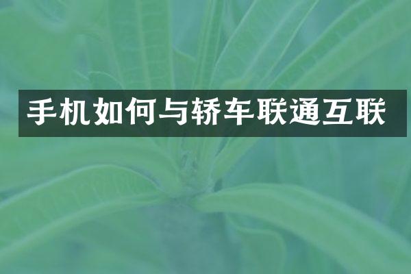 手机如何与轿车联通互联