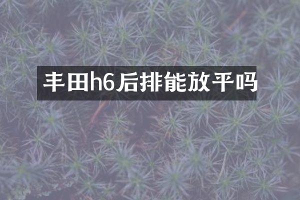 丰田h6后排能放平吗