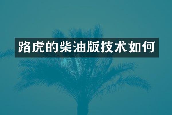 路虎的柴油版技术如何