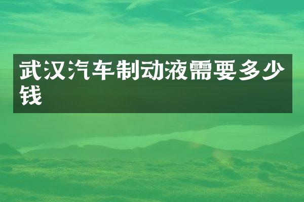 武汉汽车制动液需要多少钱