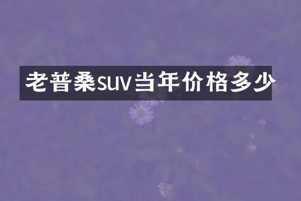老普桑suv当年价格多少