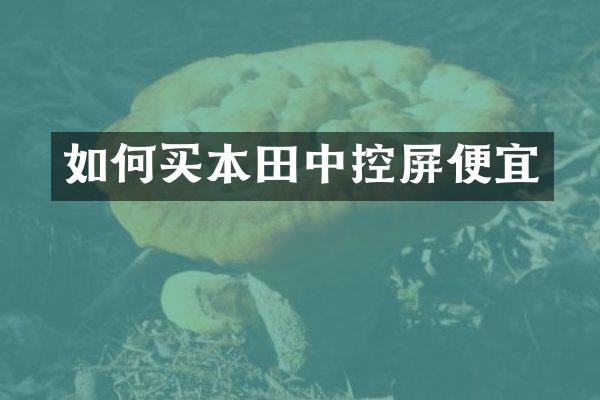如何买本控屏便宜