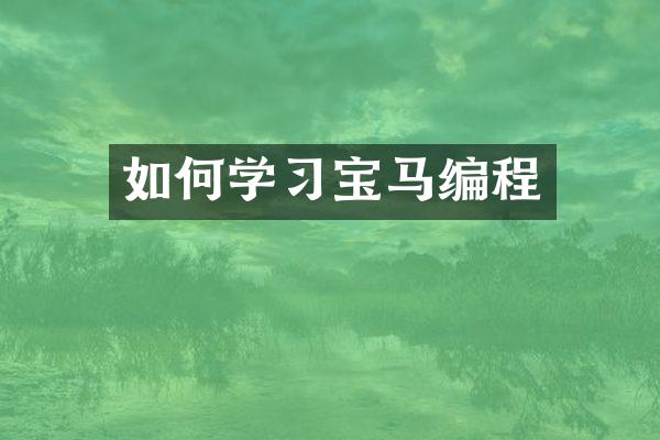 如何学习宝马编程
