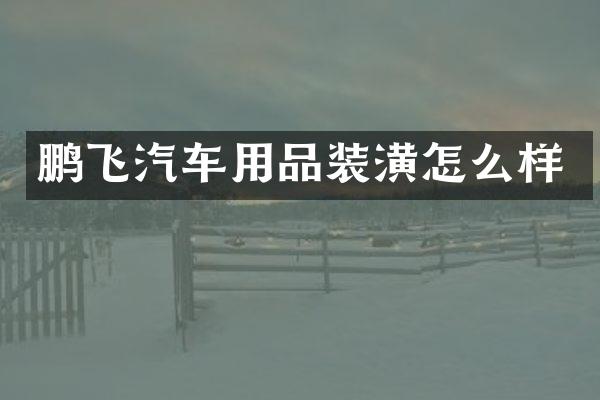 鹏飞汽车用品装潢怎么样