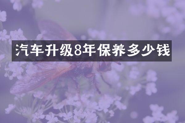 汽车升级8年保养多少钱