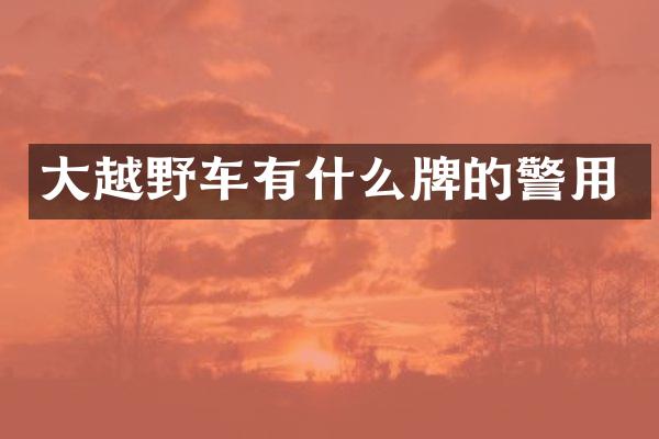 大越野车有什么牌的警用