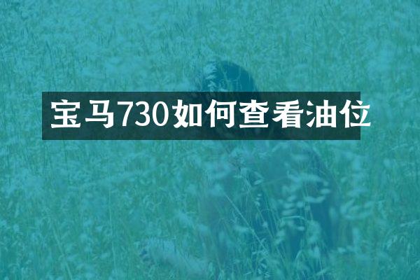 宝马730如何查看油位