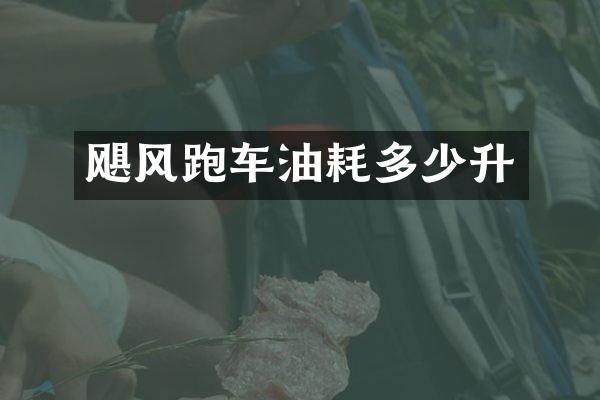 飓风跑车油耗多少升
