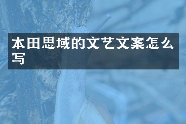 本田思域的文艺文案怎么写