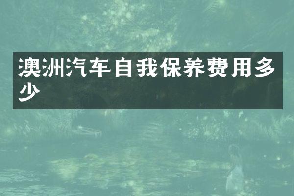 澳洲汽车自我保养费用多少