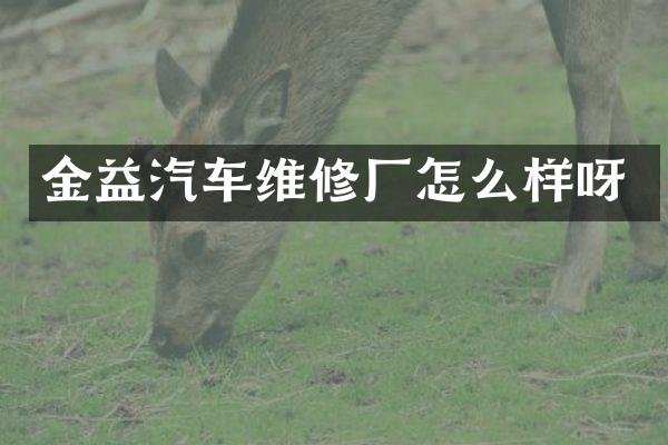 金益汽车维修厂怎么样呀