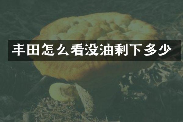 丰田怎么看没油剩下多少