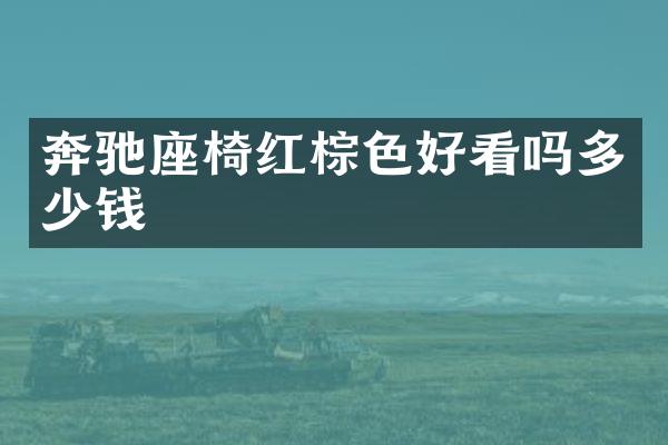 奔驰座椅红棕色好看吗多少钱