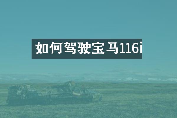 如何驾驶宝马116i