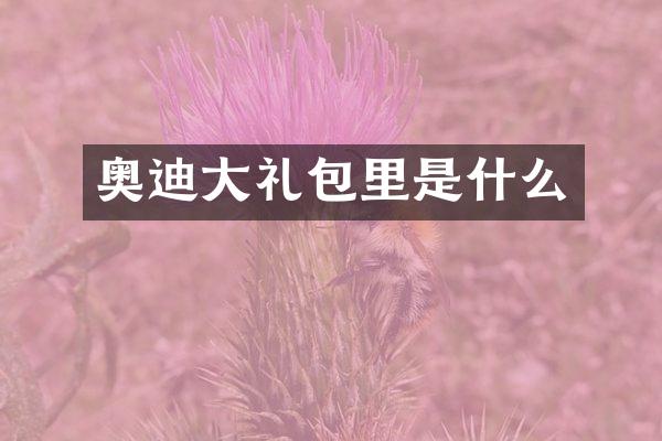 奥迪大礼包里是什么