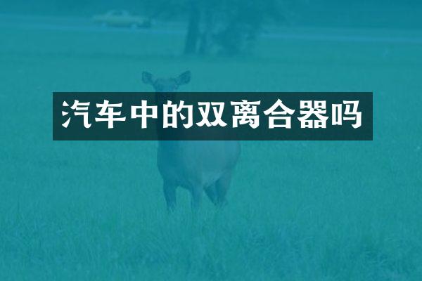 汽车中的双离合器吗