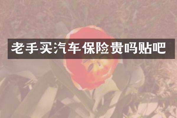 老手买汽车保险贵吗贴吧