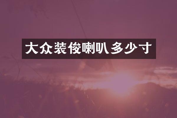 大众装俊喇叭多少寸