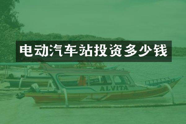 电动汽车站投资多少钱