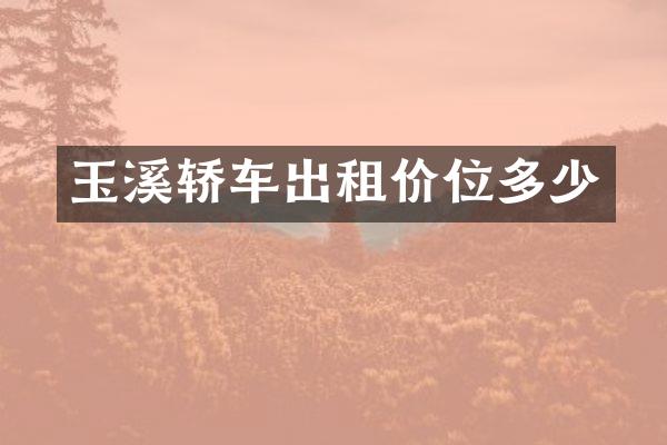 玉溪轿车出租价位多少