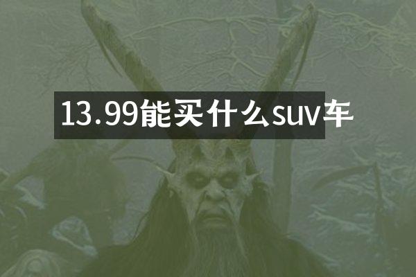 13.99能买什么suv车