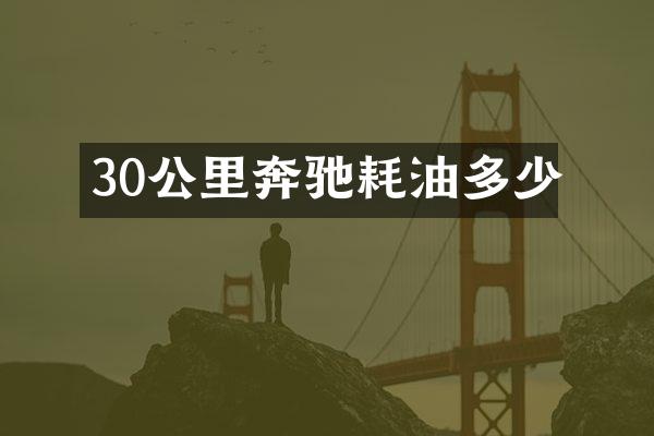 30公里奔驰耗油多少