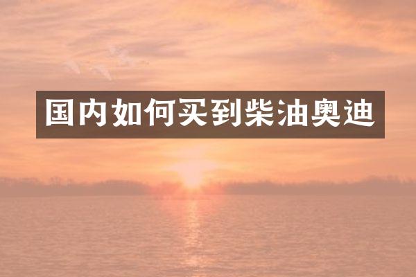 国内如何买到柴油奥迪