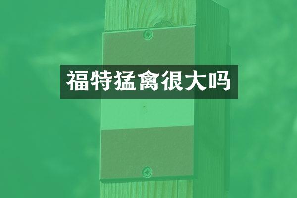 福特猛禽很大吗