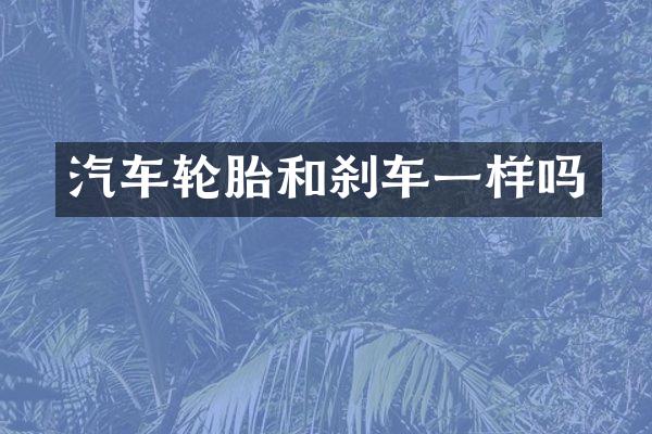 汽车轮胎和刹车一样吗