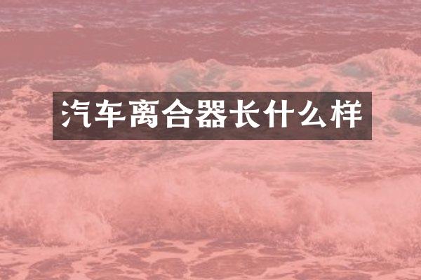 汽车离合器长什么样