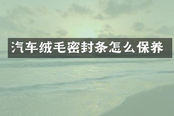 汽车绒毛密封条怎么保养