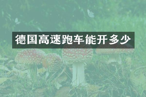 德国高速跑车能开多少