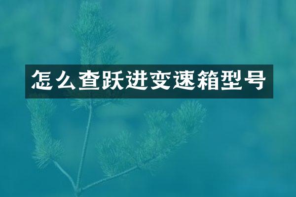 怎么查跃进变速箱型号