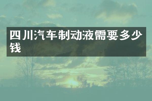 四川汽车制动液需要多少钱