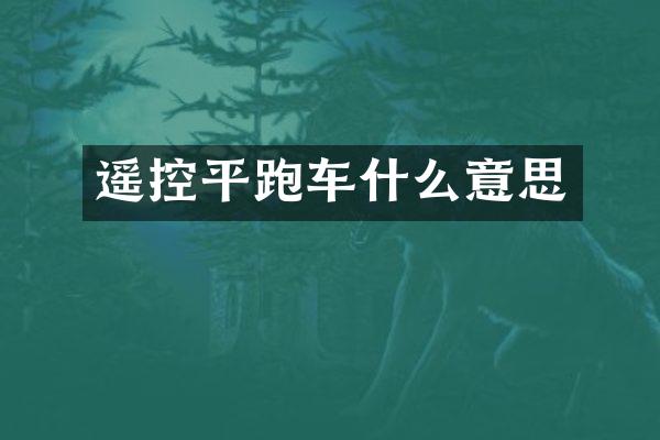 遥控平跑车什么意思