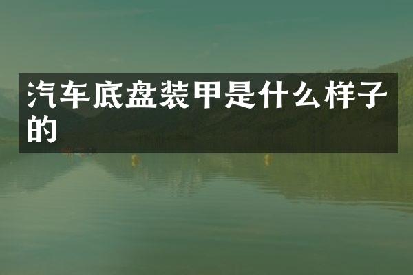 汽车底盘装甲是什么样子的