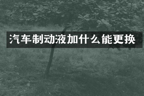 汽车制动液加什么能更换