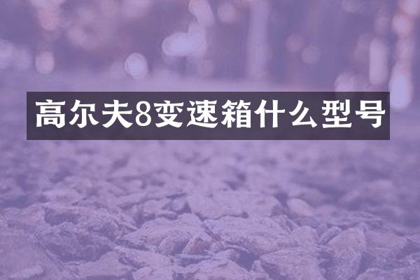 高尔夫8变速箱什么型号
