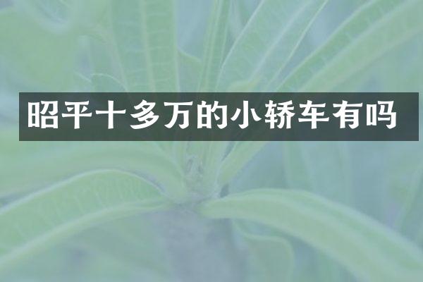 昭平十多万的小轿车有吗